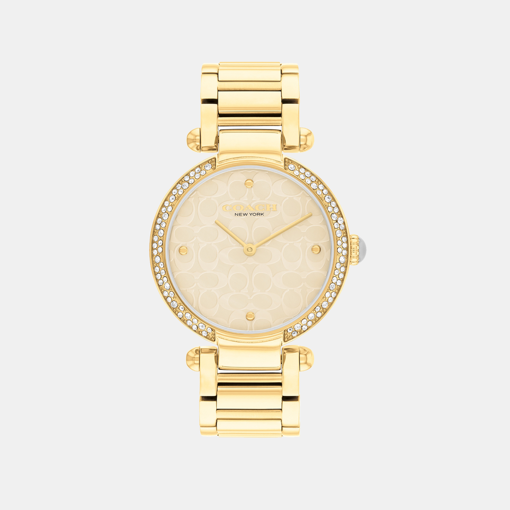 Cary Women Quartz Beige Dial Analog Stainless Steel Watch 14504183