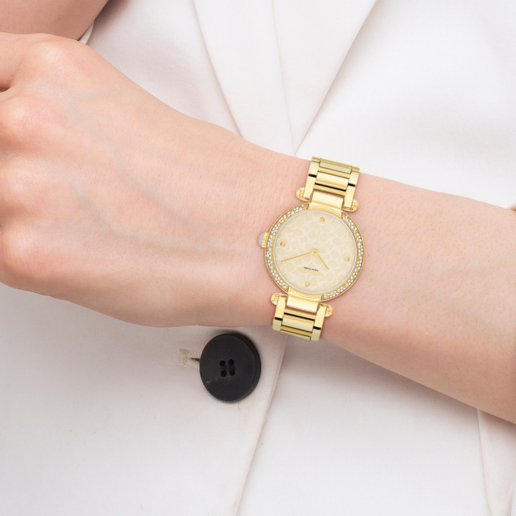 Cary Women Quartz Beige Dial Analog Stainless Steel Watch 14504183