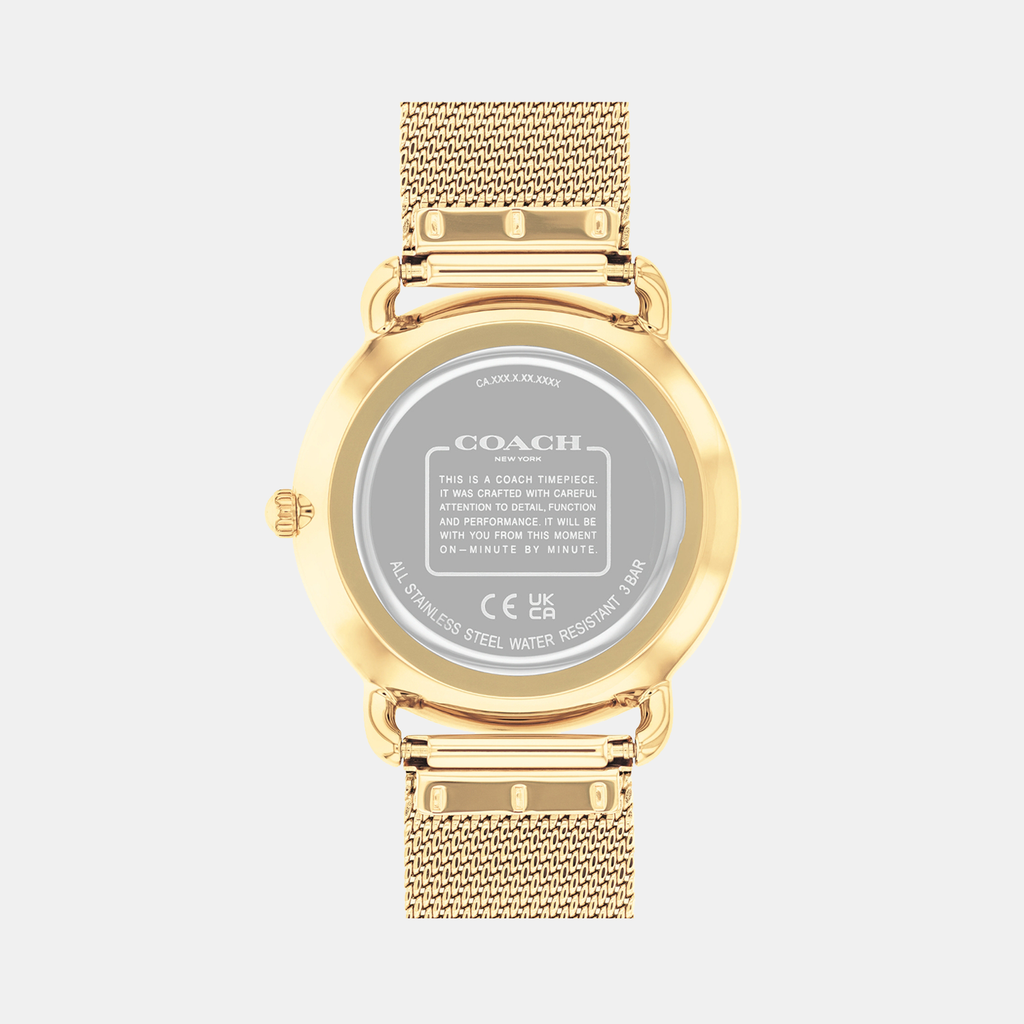 Elliot Women Quartz Silver Dial Analog Mesh Watch 14504208
