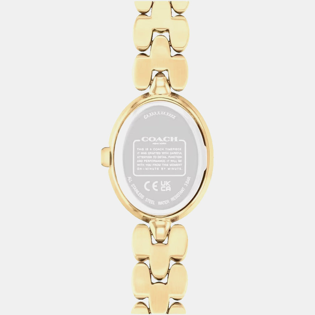 Sammy Women Quartz Silver Dial Analog Stainless Steel Watch 14504417
