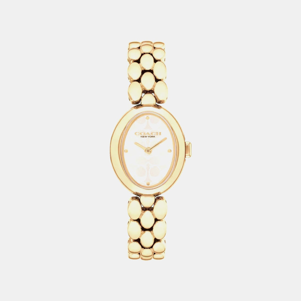 Sammy Women Quartz Silver Dial Analog Stainless Steel Watch 14504417