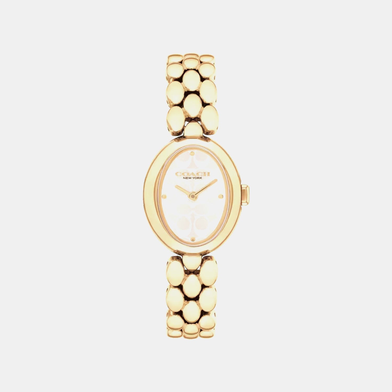 Sammy Women Quartz Silver Dial Analog Stainless Steel Watch 14504417