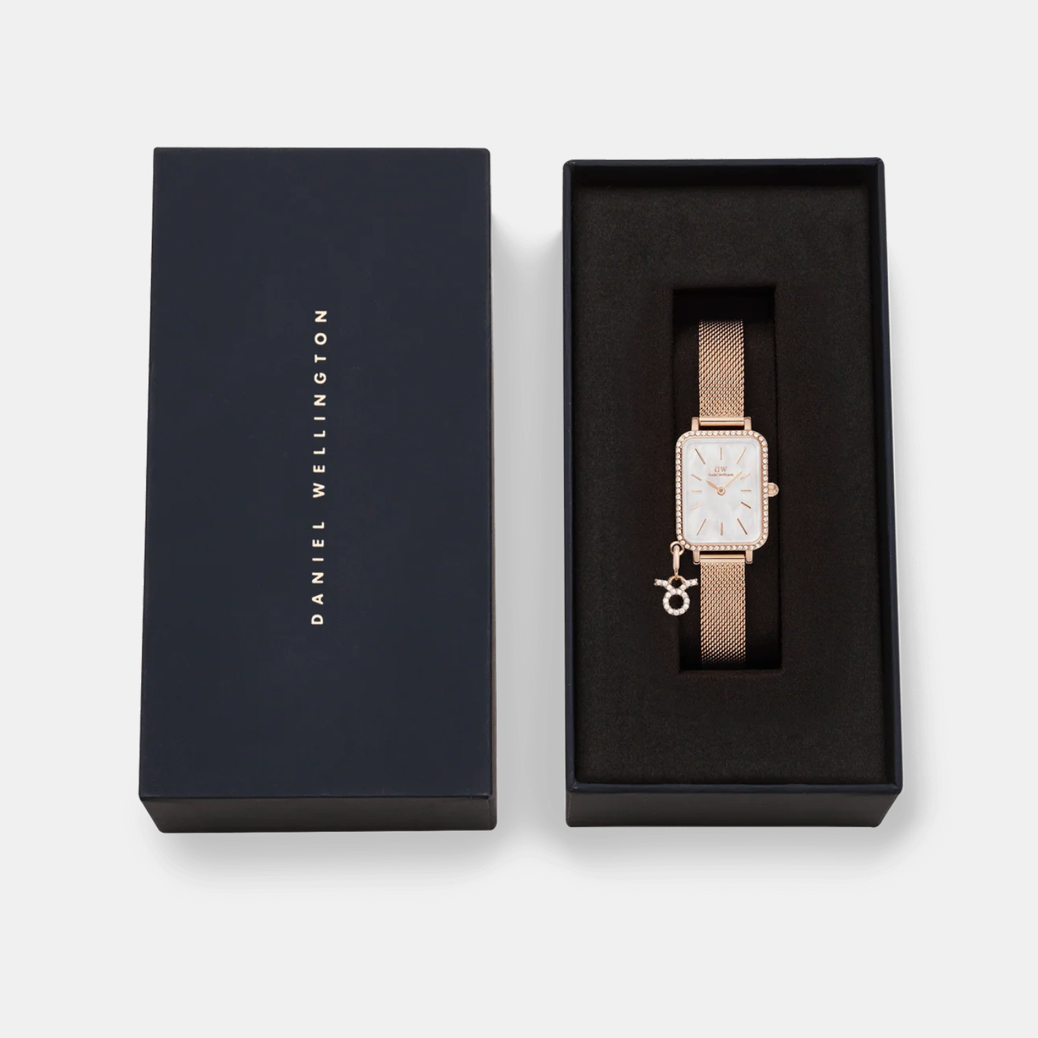 Quadro Women Quartz White Dial Analog Stainless Steel Watch DW00100748